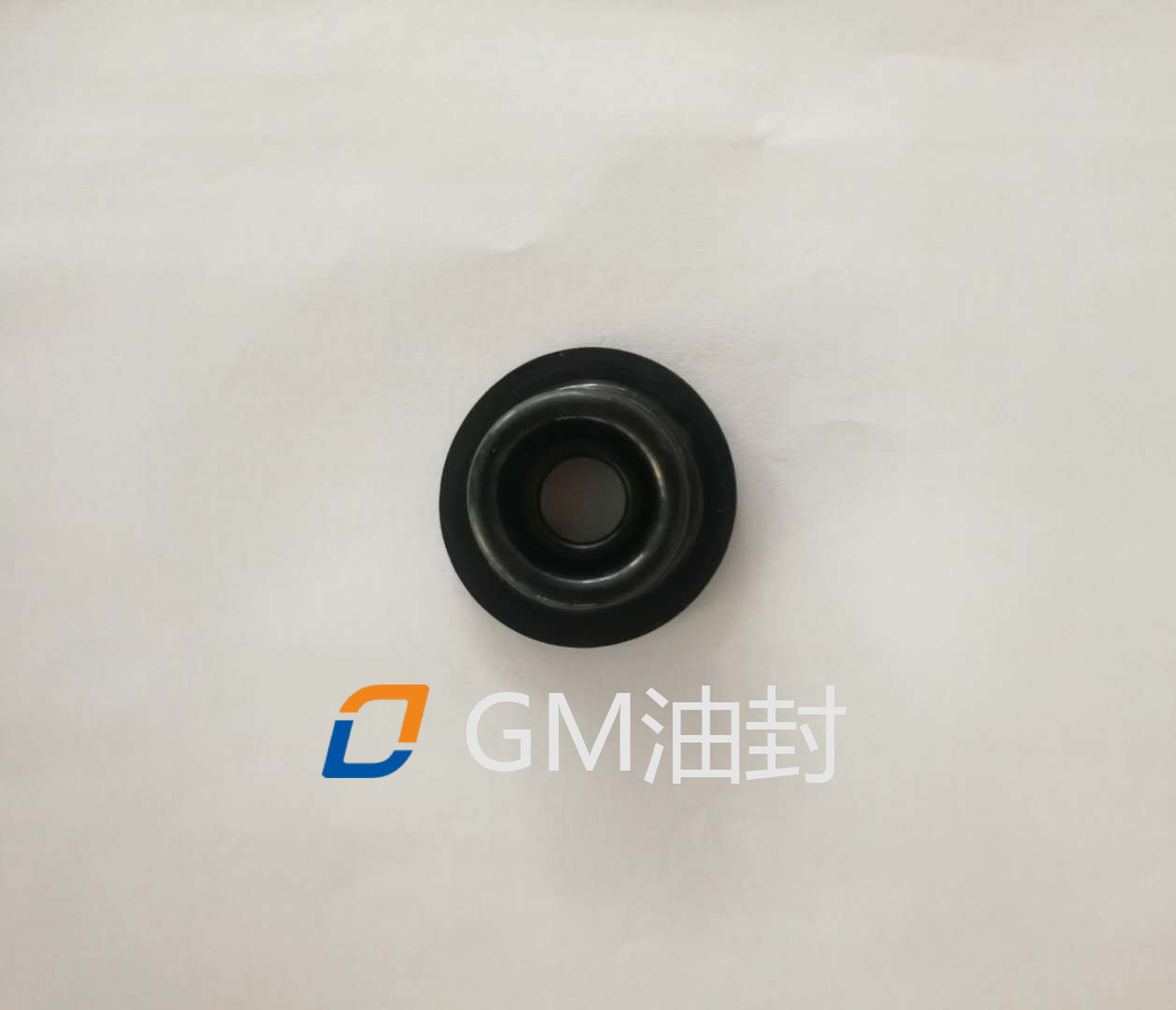 GM油封